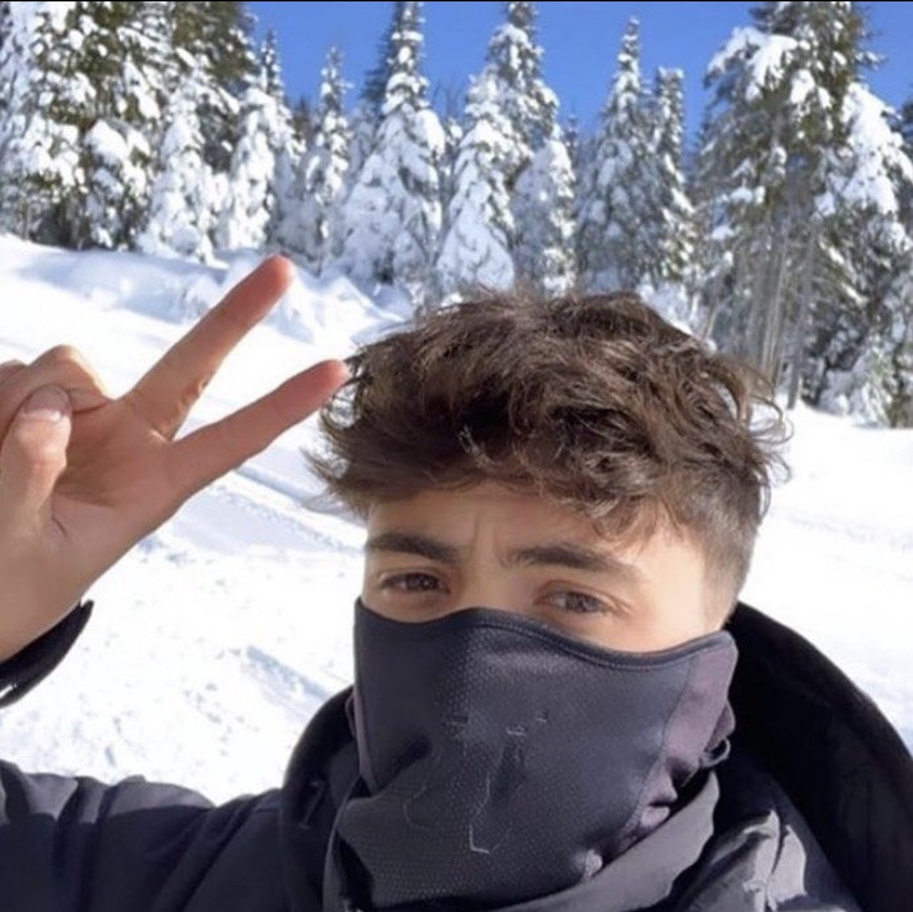 Perfil de Paul-victor