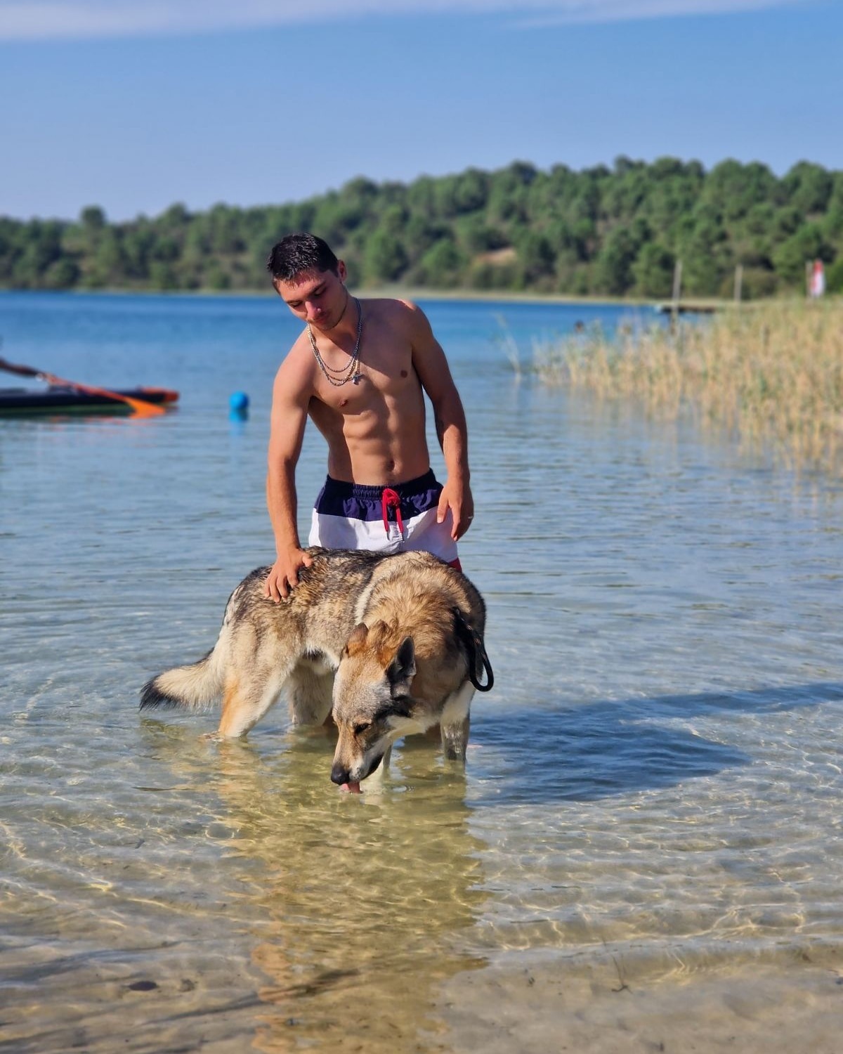 Perfil de Salaheddine